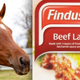 Illustration for article titled England Is Bad At Not Putting Horse Meat Where It Shouldnt Be